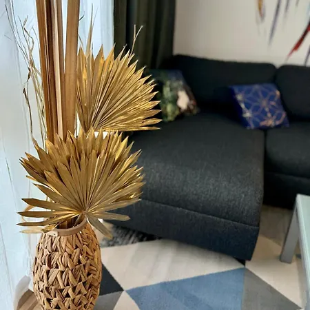 Superbe T5 10p 4chs Metro Tramway Terrasse Parking - Visite En Video Sur Youtube 54otkqvzlwa Apartmán