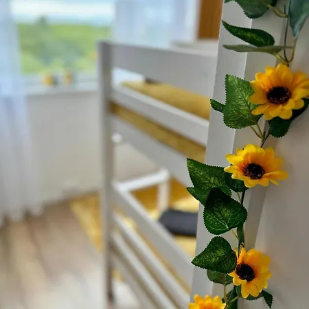 Apartmán Superbe T5 10p 4chs Metro Tramway Terrasse Parking - Visite En Video Sur Youtube 54otkqvzlwa